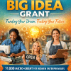 Big Idea Grant Fee